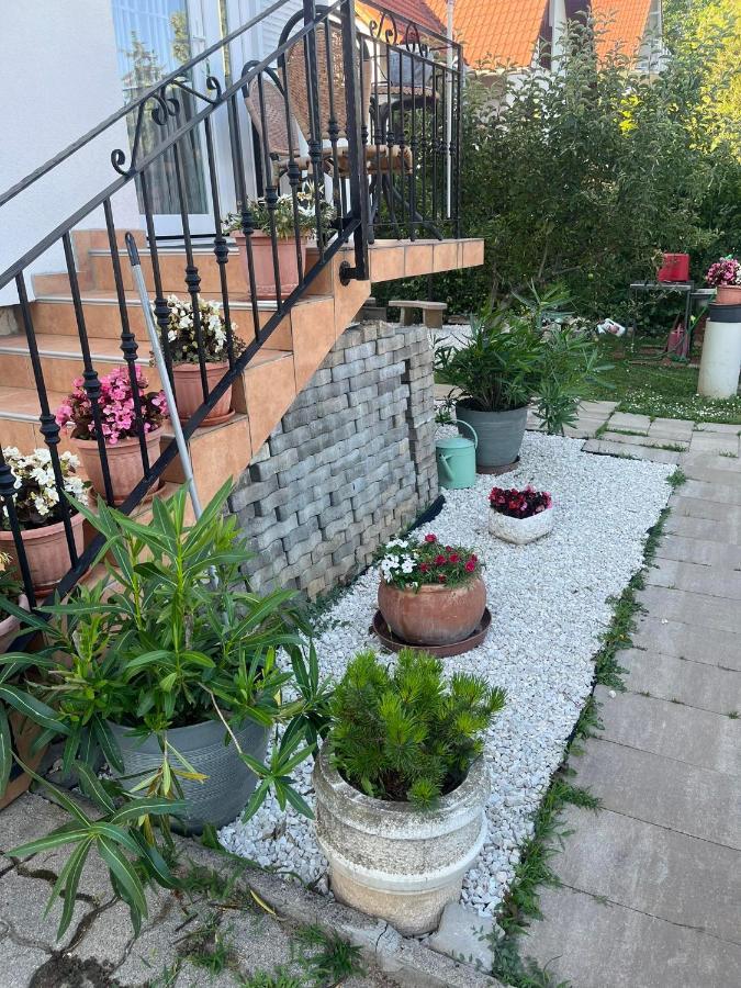 Rege Apartman Alsóörs Eksteriør billede